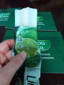 The World's first Picole, Popsicle, 100% natural, made from Amazon Secrets and JustSweet (sugar free)
